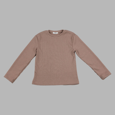 Лонгслив Чуди Кидс 505125Ц2-1 коричневый 01